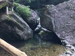 -牛背梁国家森林公园