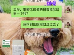 -爱侣宠医·鹦鹉专科·小型哺乳类·异宠专科(灵石路店)