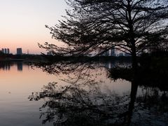 -海珠湖公园