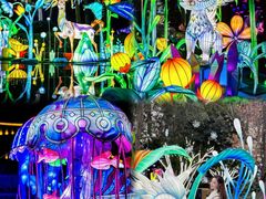 -海合安武汉极地海洋公园