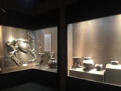 -烟台市博物馆