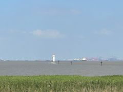 -上海吴淞炮台湾国家湿地公园