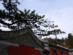 -阳台山自然风景区