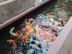 -侠成水上农庄(工业大道店)