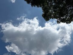 -黑竹沟新场牛肉火锅