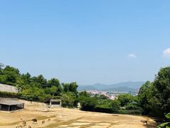 -泉州海丝野生动物世界