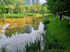 -沐仙湖湿地公园