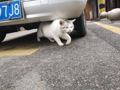 -乌糖沙茶面(民族路店)