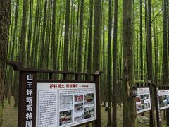 -山王坪喀斯特国家生态公园