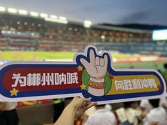 -郴州特产舜华临武鸭(郴州西站店)