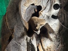 -八奇洞景区
