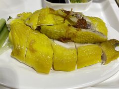 -百福麵家(新馬路店)
