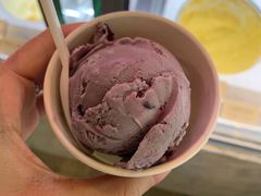 -哈根达斯(泉州万达店)