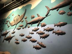 -合肥海洋世界