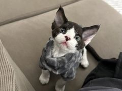 -人民公园-相亲角