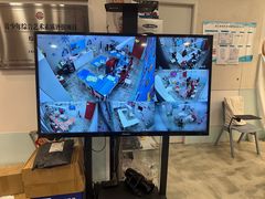 -蕃茄田艺术•美术绘画 •硬笔书法(滨江海威领界店)