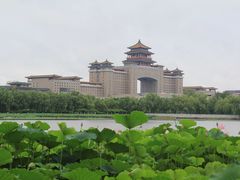 -莲花池公园