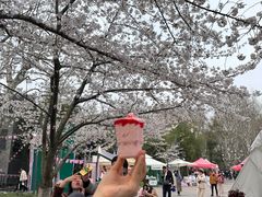 -麦当劳(鲁迅公园店)