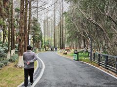 -苏州河梦清园环保主题公园