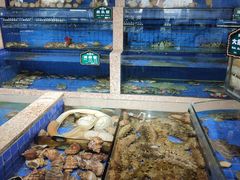 海鲜缸-皇朝海鲜酒店