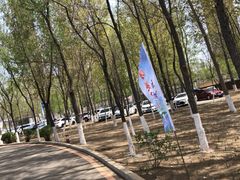 -丁香湖公园