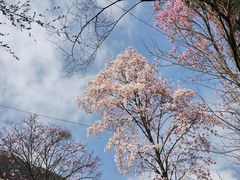 -九皇山景区