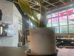 -Magnet磁食(愚园路店)