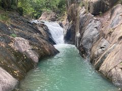 -广州白江湖森林公园