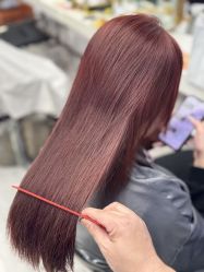 -镁连社·美联社