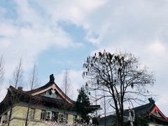 -鸡鸣赐茶(鸡鸣寺路店)