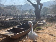 -无锡动物园·太湖欢乐园