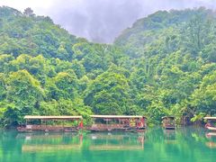 -鼎湖山风景区