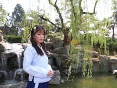 -西安青龙寺遗址景区
