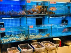 -涌觅名灶·本地海鲜宁波菜(财富广场店)