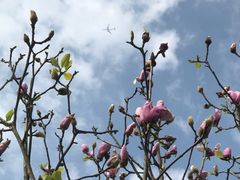 -盆满钵满·国家非遗传承(云台店)