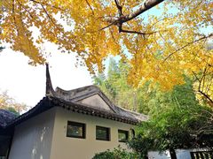 -汇龙潭