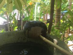 -100蛋泥浆浴