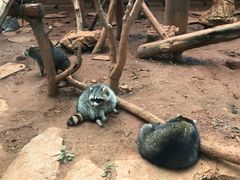 -昆明动物园