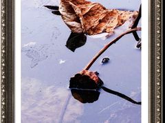 -郑东新区湿地公园