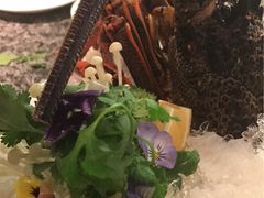 龙虾-辉哥火锅(虹桥路店)