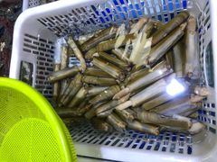 蛏子-淡村菜市场