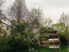 -西溪国家湿地公园