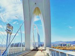 -永定河休闲森林公园