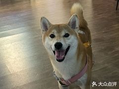 -亚宠动物医院·芭比堂宠物医院(盘龙店)