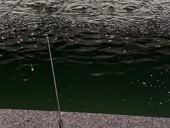 -DGE季风钓虾营地·团建·聚会