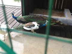 -太极禅苑