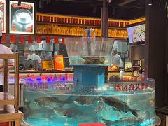 -魏铭鱼头捞饭(晋阳路店)