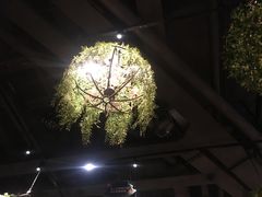 -胡桃里音乐酒馆(下沙店)