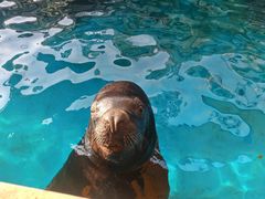 -华夏文旅海洋公园