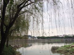 iphone_upload_pic-黄埔古港